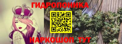 mix Новодвинск