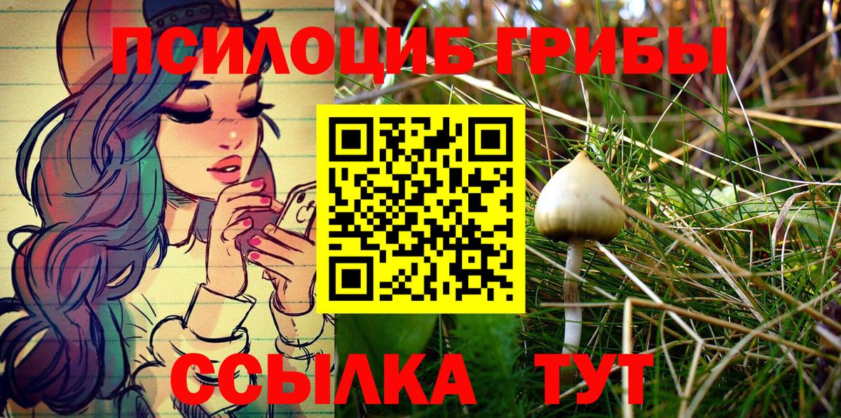 Серпухов  Псилоцибиновые грибы MAGIC MUSHROOMS  что такое   Вход с VPN 